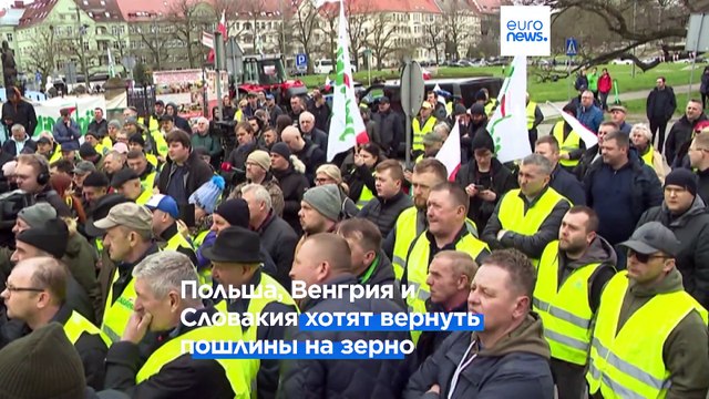 Евросоюз осуждает запрет Польши, Венгрии и Словакии на импорт украинского зерна