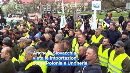 Il grano ucraino ora è un problema per l'Europa