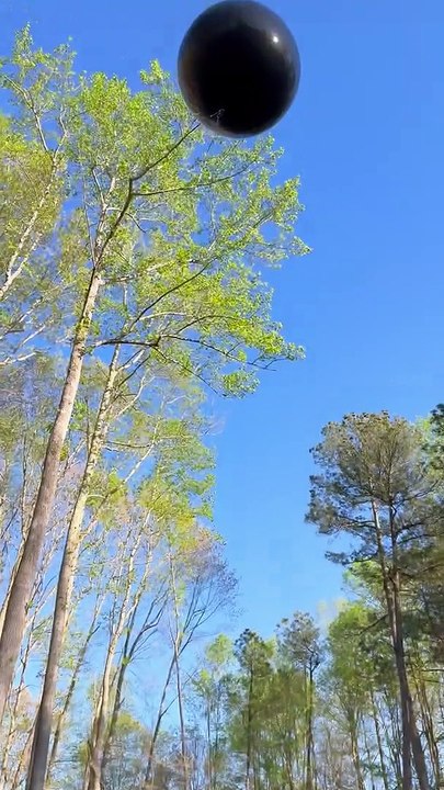 Gender Reveal Without the Reveal