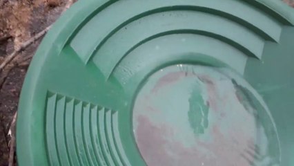 You Haven't Seen The Gold We Found Anywhere. Here, watch.