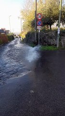 Arena san vito ercolano