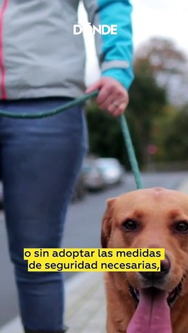 ¿De cuánto es la multa si sacas a pasear a tu perrito sin correa?
