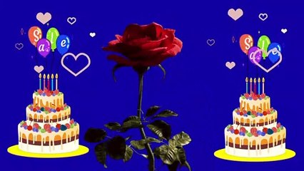 Funny Happy Birthday Video for Your Friend