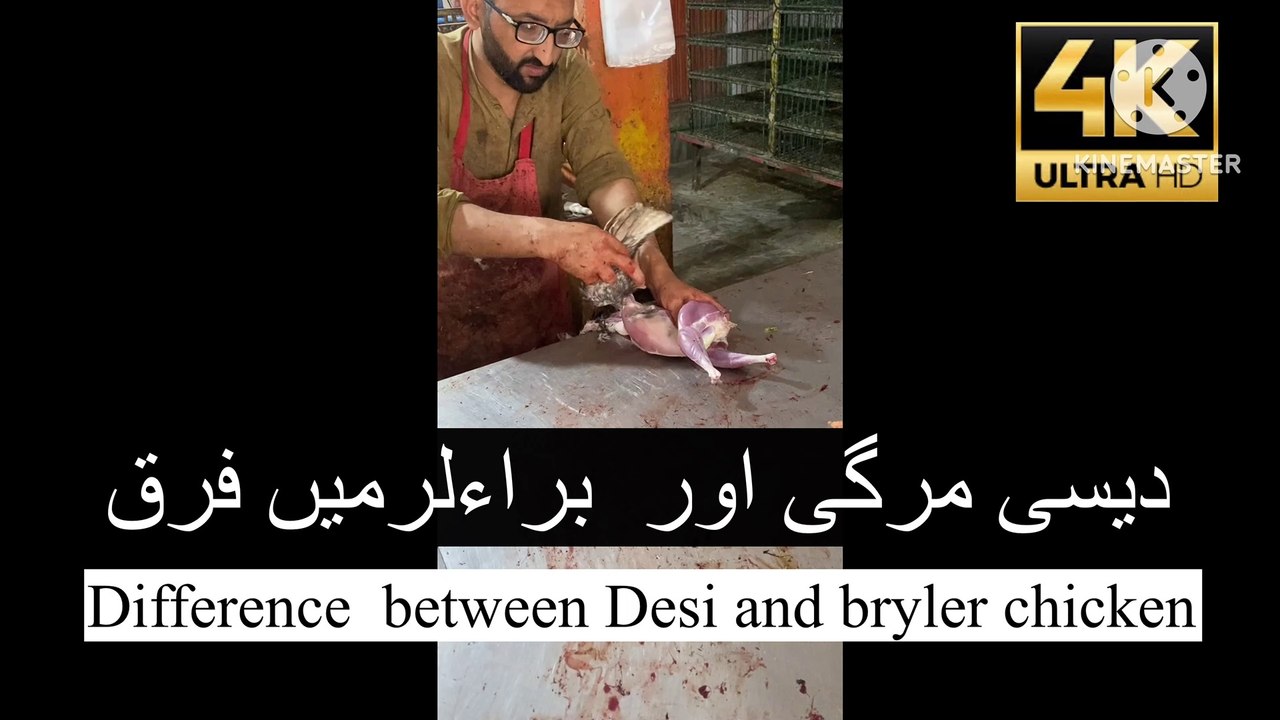 Difference between Desi and Bryler Chicken Desi Red meat colorful