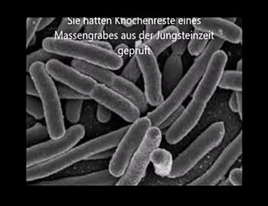 Die Pest ist älter als gedacht