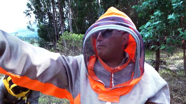 Abejas de Beeltran Apicola Rico y Charladito Andrés López comediante