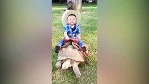 Funny Kids and Animals at the Zoo - Funny Kids Fails Vines