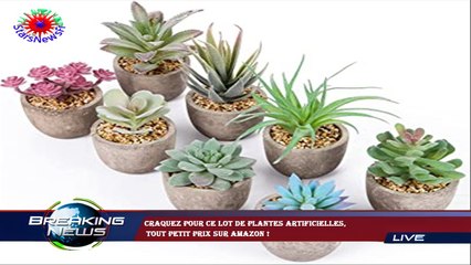 Craquez pour ce lot de plantes artificielles,  tout petit prix sur Amazon !