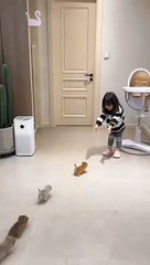 Kittens with my baby girl ❤️