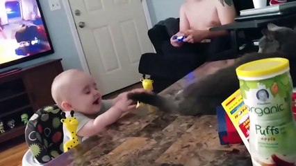 Funny Cats And Babies Playing Together - Funny Baby Fail - Best Video Compilation (2)