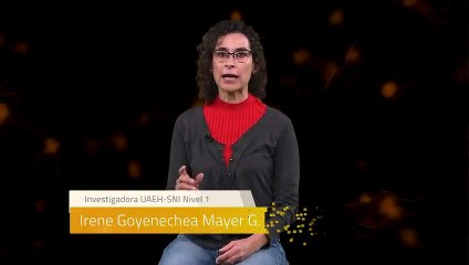 Sinapsis T2 Ep9 | ¿Quienes son los anfibios?