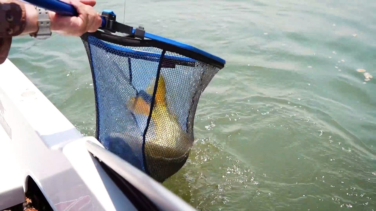 Dorado Turismo Corrientes-