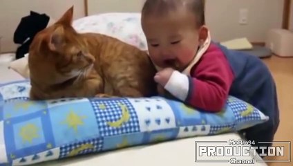 Babies annoying cats – Funny baby & cat compilation