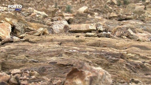 Mina de lítio projetada para Boticas recebe parecer negativo da associação Zero