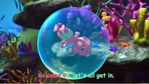 Swimming Song _ CoComelon Animal Time _ Animals for Kids