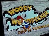 Woody Woodpecker Woody Woodpecker E065 – Bunco Busters