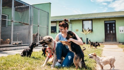 Homeless And "Inseparable," Dog And Goat Besties Find Forever Home In North Carolina