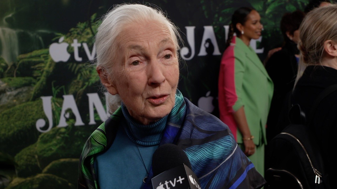 Jane Premiere Dr. Jane Goodall Interview