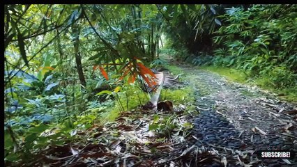 Jelajah misteri spot mancing kali Anggas