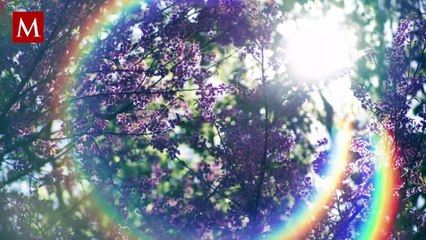 Fenómeno de 'El Niño' 2023: ¿Qué es y cómo afectará a México?