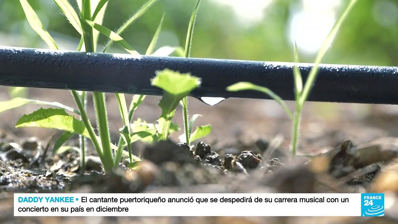 Francia: incendios en los Pirineos Orientales se intensifican por falta de lluvia