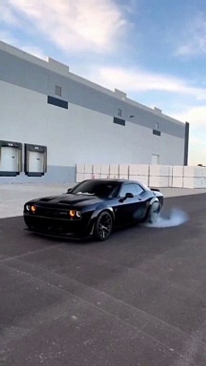 SMOKEY DODGE ❤️