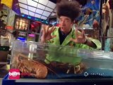 O Mundo de Beakman S03E12 - Crustáceos, Fungos, Pressão do Ar (Daniel Bernoulli)