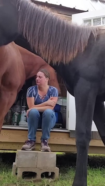 Her_horse_comforts_her_(480p)