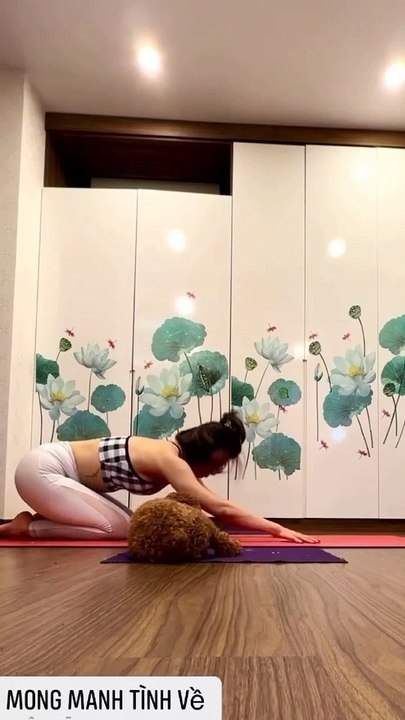 YOGA INVERSION POSE