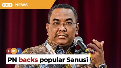 ‘Politically incorrect’ but popular Sanusi will boost PN, says analyst