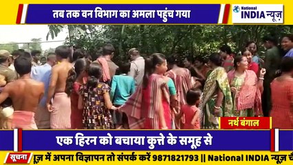 नार्थ बंगाल सिलीगुड़ी में हिरण को बचाया गया कुत्ते ने जान से बना दुश्मन