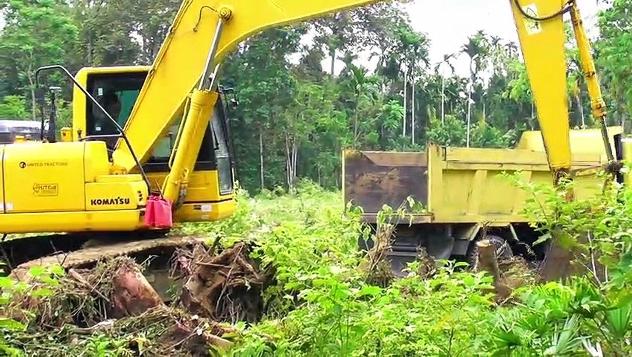 Excavators move wood to build a football field perfectly || Komatsu PC 195 LC