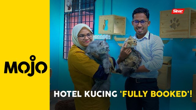 Tempahan hotel 'si bulus' penuh sepanjang Syawal