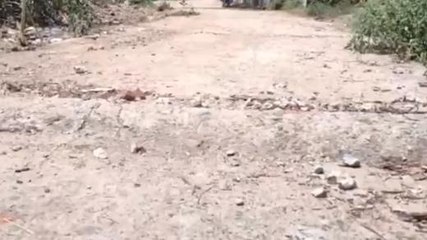 বীরভূমঃ 'পথশ্রী'প্রকল্পে কী ভাবে রাস্তা হচ্ছে দেখুন!