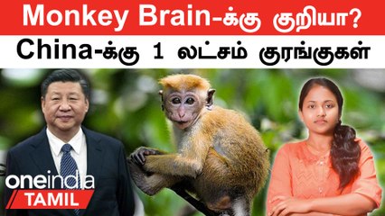 Sri Lanka-விடமிருந்து 1 லட்சம் Monkeys வாங்கும் China பின்னணி | Monkey Shortage | குரங்கு பண்ணைகள்