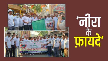 जीविका समूहों द्वारा नीरा उत्पादन को किया जा रहा प्रोत्साहित, जानिए नीरा पीने के फ़ायदे