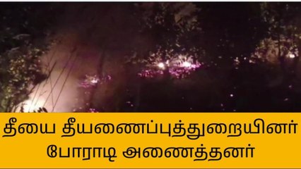 புதுகை: சரக்கு குப்பைகளால் பரவிய காட்டுத் தீ!