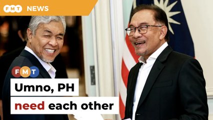 Umno and PH cannot afford a break-up, says analyst