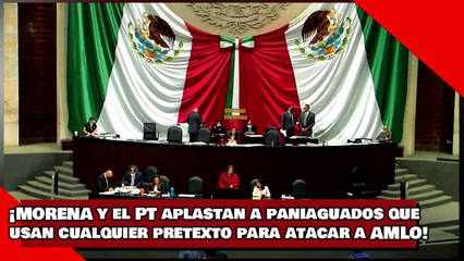 ¡VEAN! ¡MORENA y el PT aplastan a los paniaguados que usan cualquier pretexto para atacar a AMLO!
