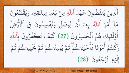 80202- How to memorize Surah Al-Baqarah Fast and Easily 2-20