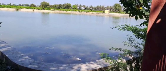 कई जगह टैंकरों से पानी सप्लाई नाथांवाला हैडवक्र्स क्षेत्र में जलापूर्ति प्रभावित