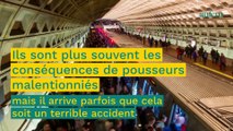 Une jeune fille de 14 ans percutée par un train après être tombée accidentellement du quai