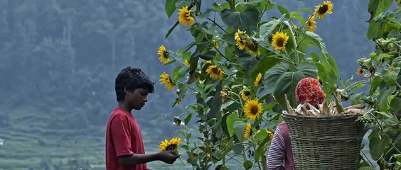 Sound of Silence Bande-annonce (EN)