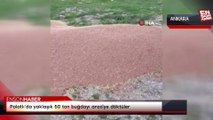 Polatlı’da yaklaşık 50 ton buğdayı araziye döktüler