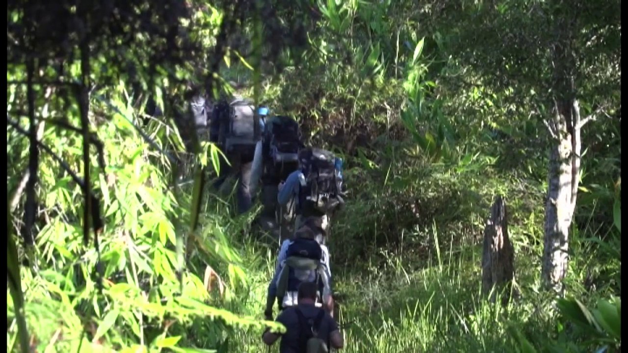 48-year-old Australian man dies hiking Kokoda Track in Papua New Guinea