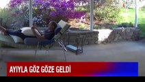 Bahçesinde keyif yaparken, ayıyla göz göze gelen adamın aklı çıktı