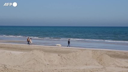 L'Ue incalza l'Italia, "intervenire presto sui balneari"