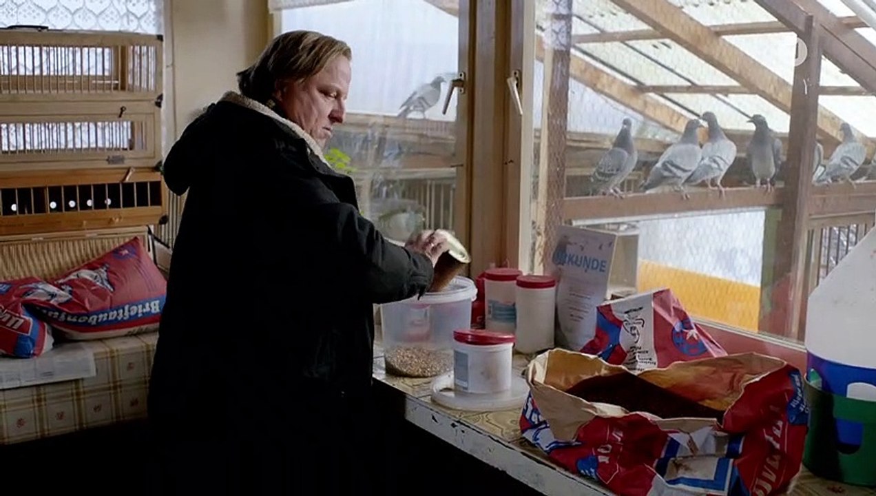 Das Millionen-Rennen