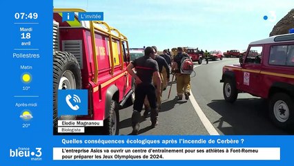 Incendie de Cerbère : doit-on fermer des massifs lorsque le vent est fort ?