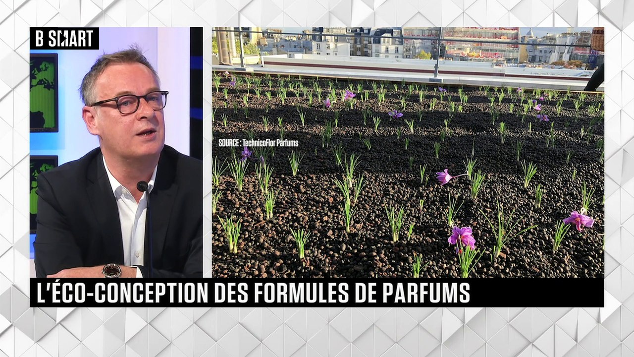 SMART IMPACT - L'invité de SMART IMPACT : Maxime Gransart (Technicoflor Parfums)